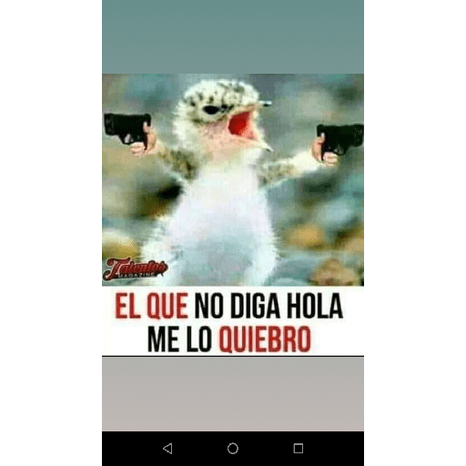 Wtf xd 15