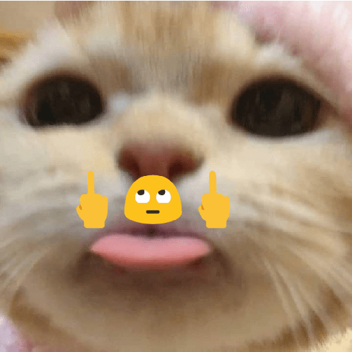 Meme kucing 14