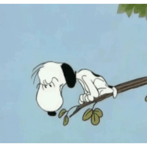 Snoopy 2  10