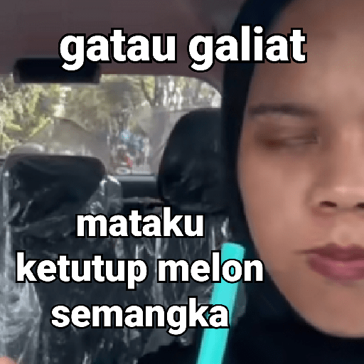 🍈 🍉 🍈 🍉🍈 🍉 7