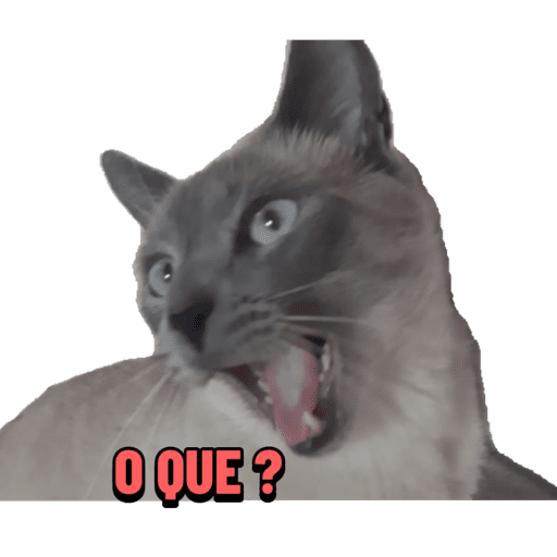Udjdhduhd 13