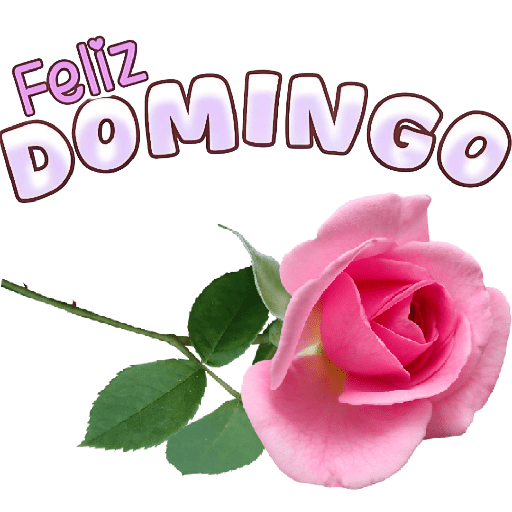 Domingo | Domingou 2
