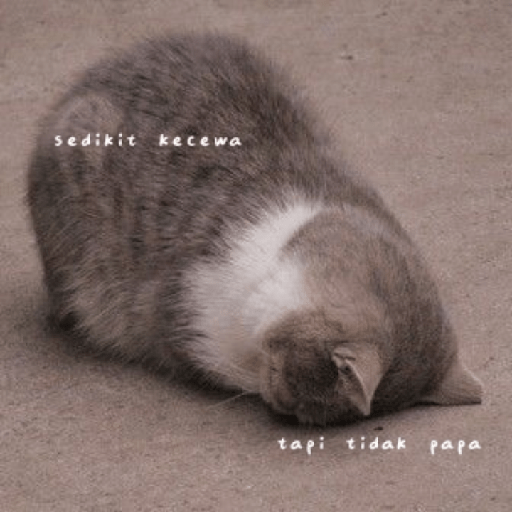 Cat Mode :v 12
