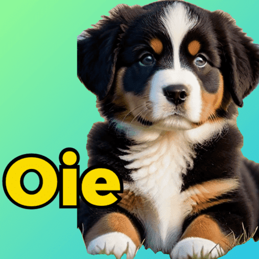 Cachorro fofo  9
