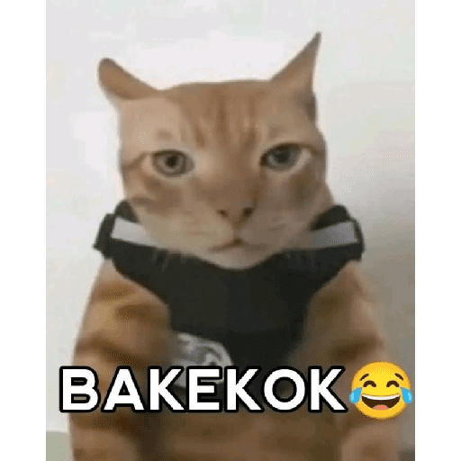 Meme Facebook Part VIII 9