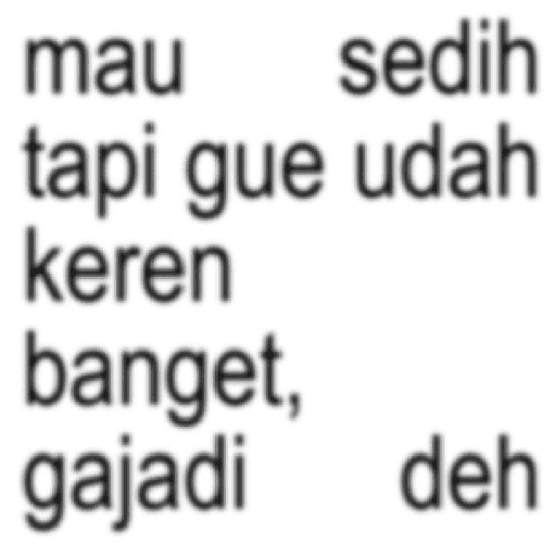 Kata kata anomali 24