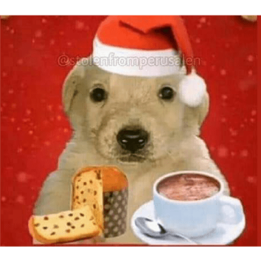 Navidad XD 2