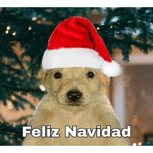 Navidad XD 1