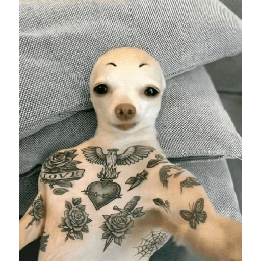 :)))  18
