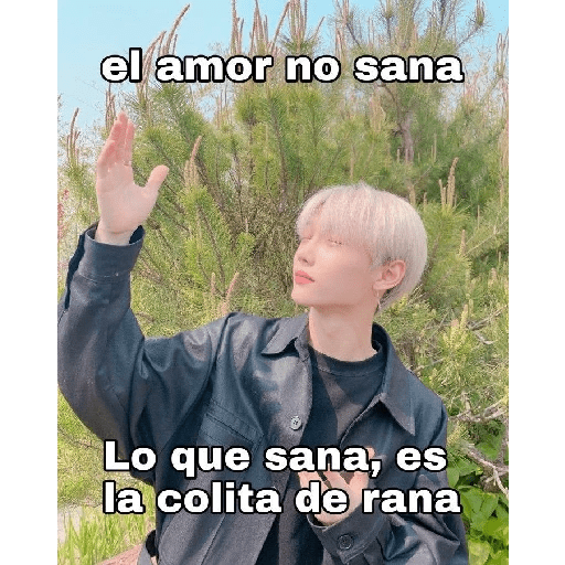 Kpop memes  13