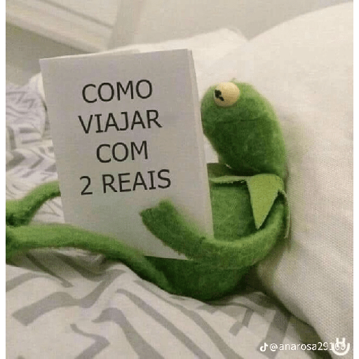 MEU LIVRO 5