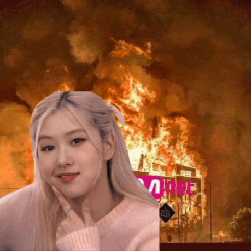 Meme Rose bp 11