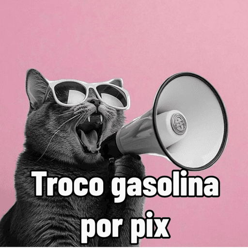 Memes Gasolina  11