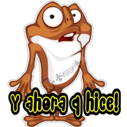MR. FROGO  21