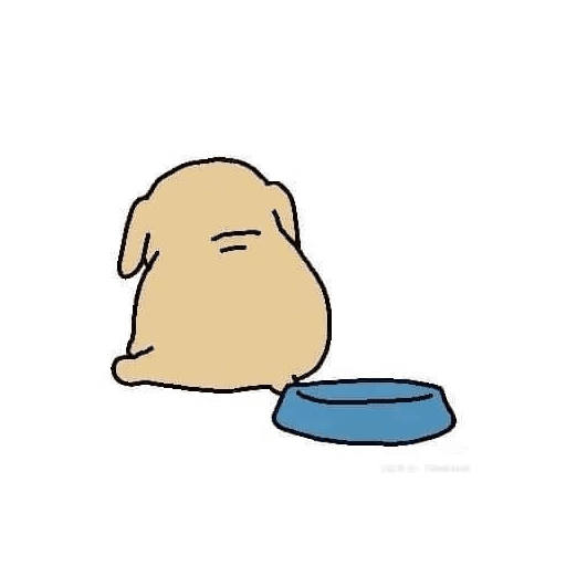 Korean dog picture 14