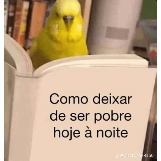 MEU LIVRO 1