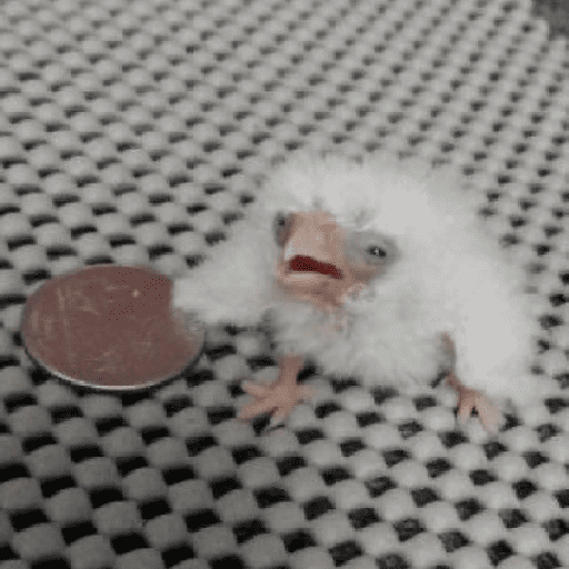 Merda Postagem shitpost 4 14