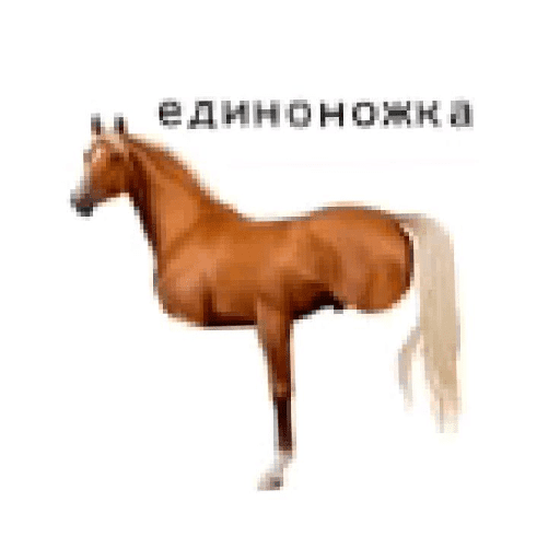 Merda Postagem shitpost 4 17
