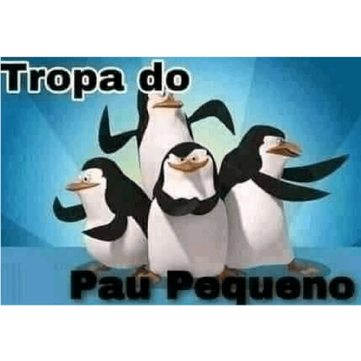 As minhas 2