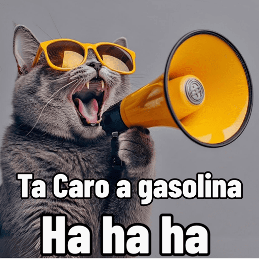 Memes Gasolina  4
