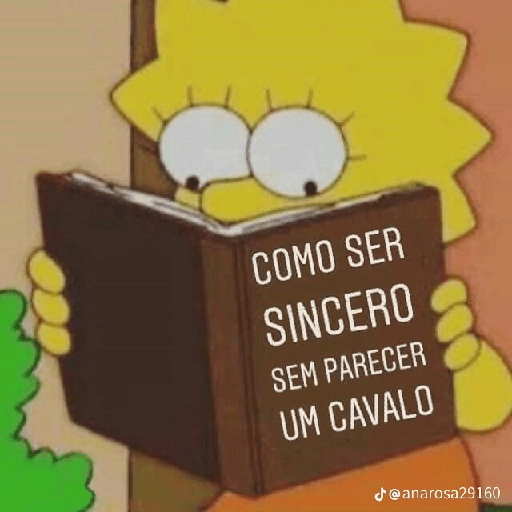 MEU LIVRO 3