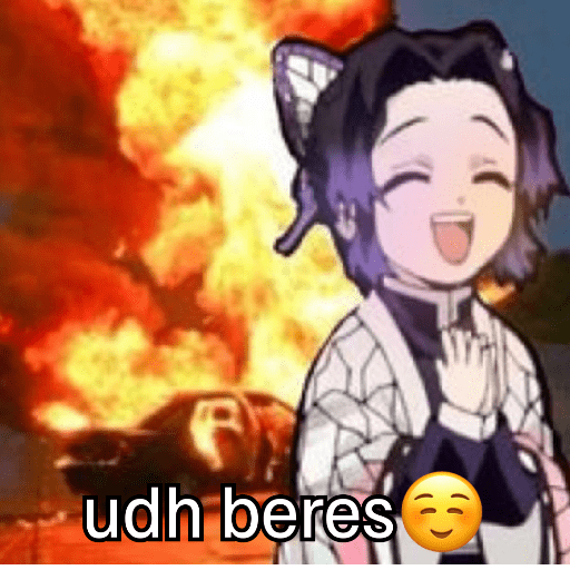 Demon slayer  19