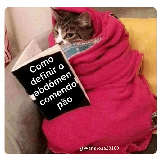 MEU LIVRO 2