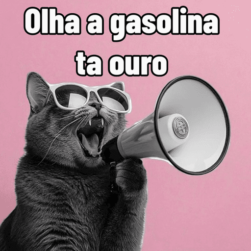 Memes Gasolina  5