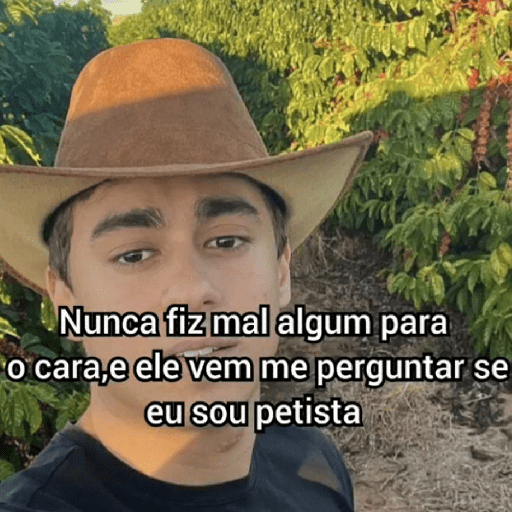 Nikolas Ferreira/@ive_stickers  1