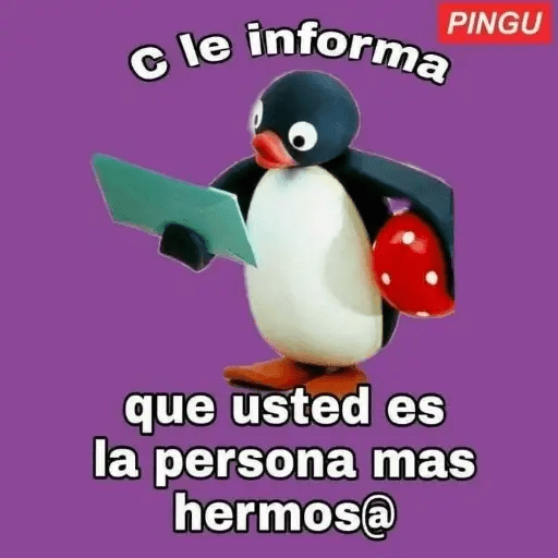 Pingu Memes🐧 7