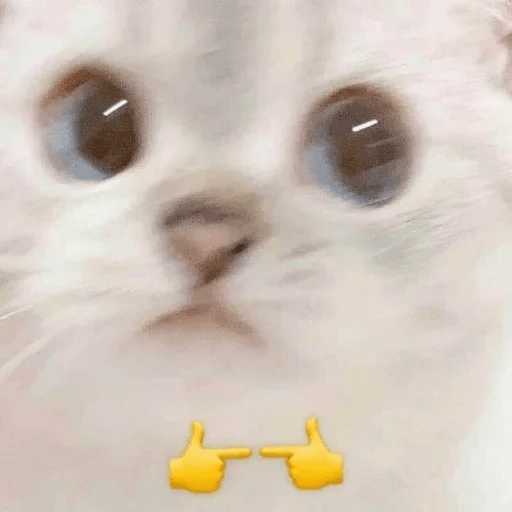 🤣 Memes que debes tener 🤣 7