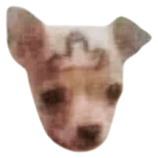 Lomitos 12