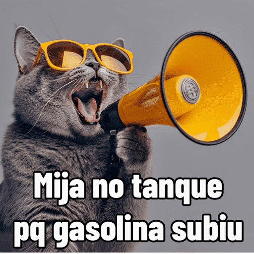 Memes Gasolina  8