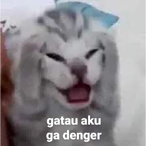 Cats meme 27