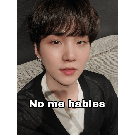 Kpop frase 12