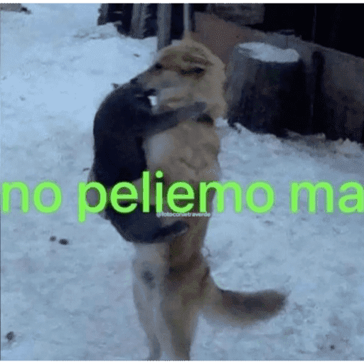 Momosan 4