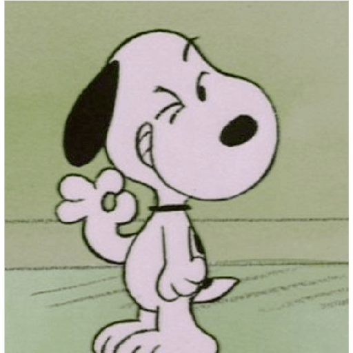 Snoopy🐾 17