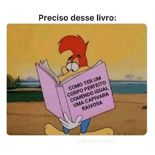 MEU LIVRO 8
