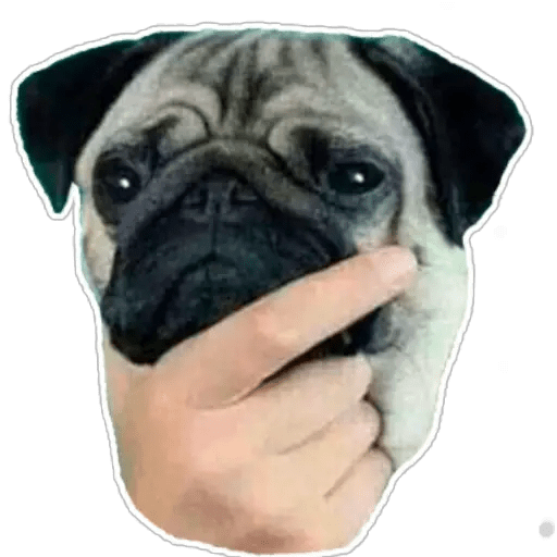 Lomitos 10