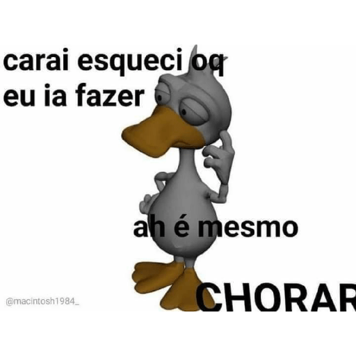 As minhas 3