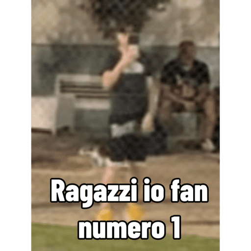 I miei adesivi 20