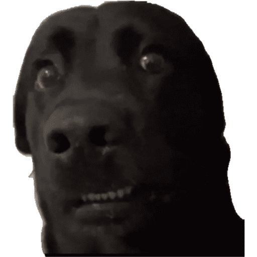 Meu 8