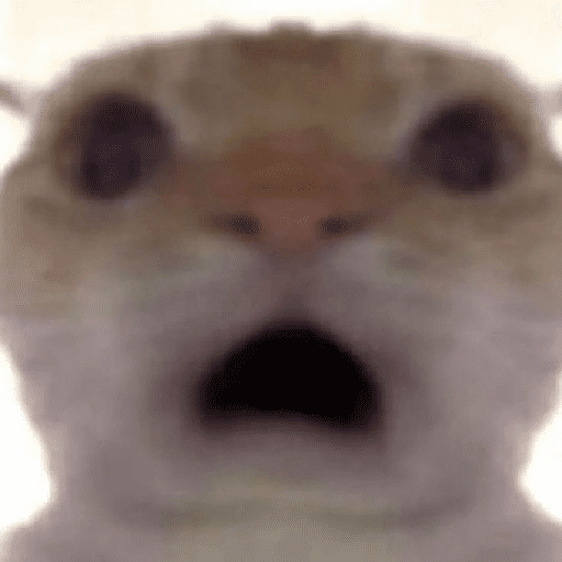 Funny cats  27