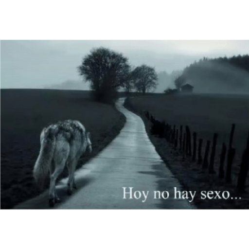 Sé un lobo 5