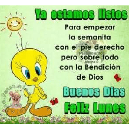 Piolín, buenos días 5