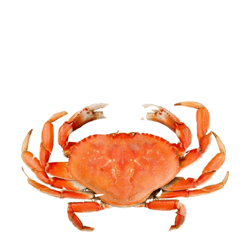 MM1 7
