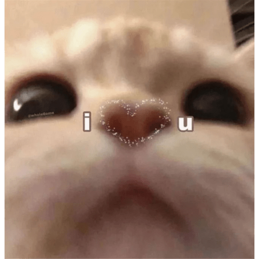 Memes Random Pt 1 27