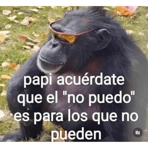 Monitos laif 1