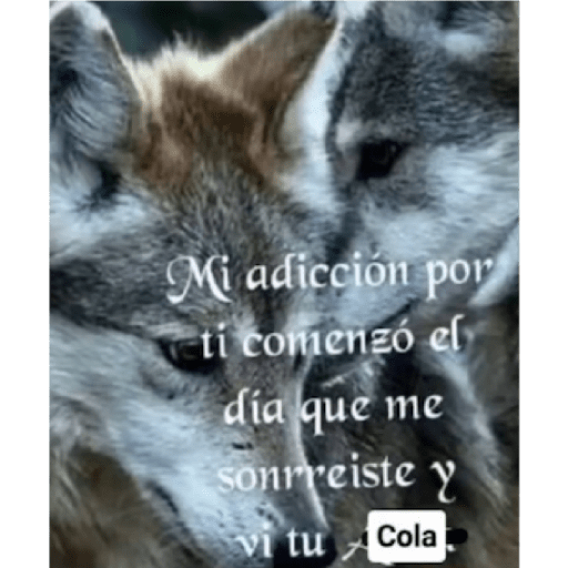 Sé un lobo 2