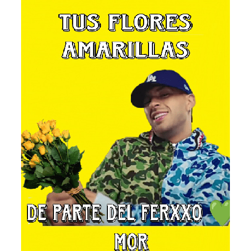 Flores 🌻Amarillas 💛 19